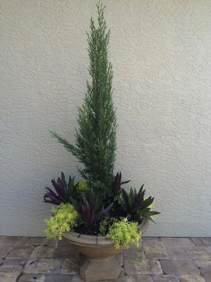 Trusted residential landscaping in Port Charlotte, FL by Craig's Perfect Turf Landscaping