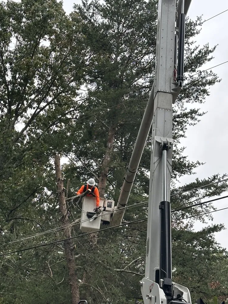 Trusted landscape design experts serving Lindale, GA - Craigs Tree Removal N  Landscaping