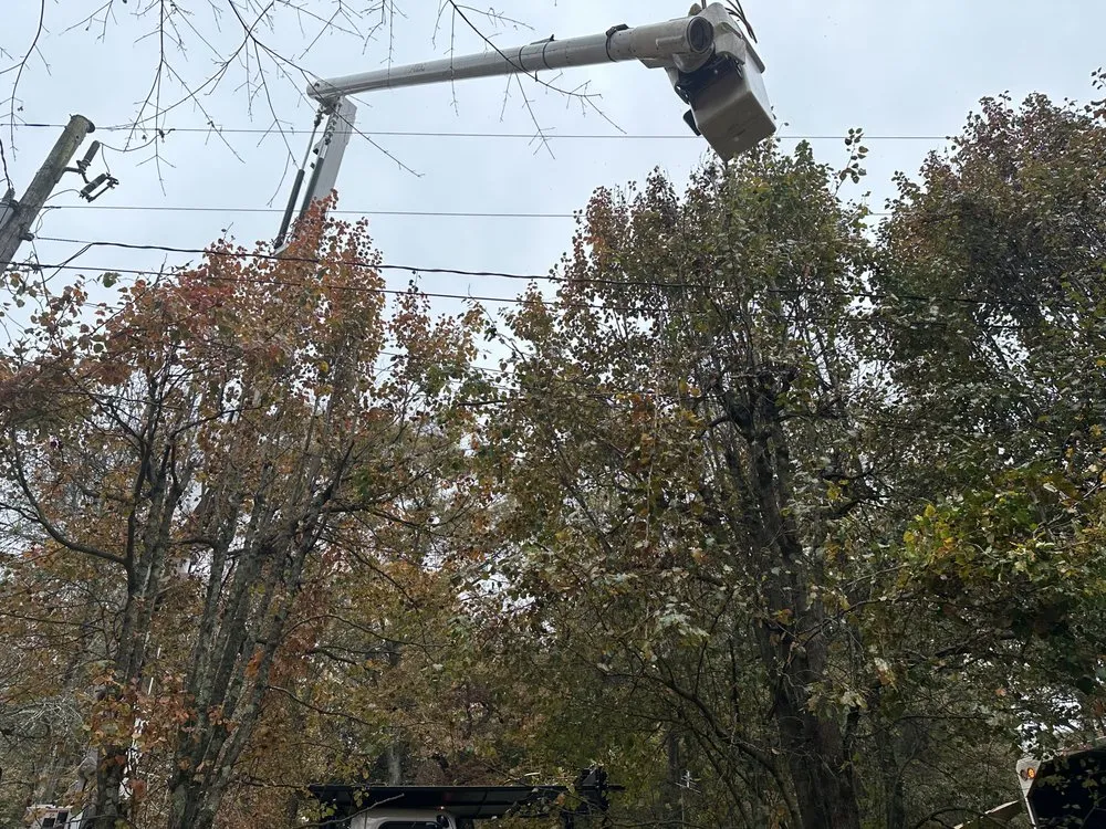 Local yard cleanup service experts serving Lindale, GA - Craigs Tree Removal N  Landscaping