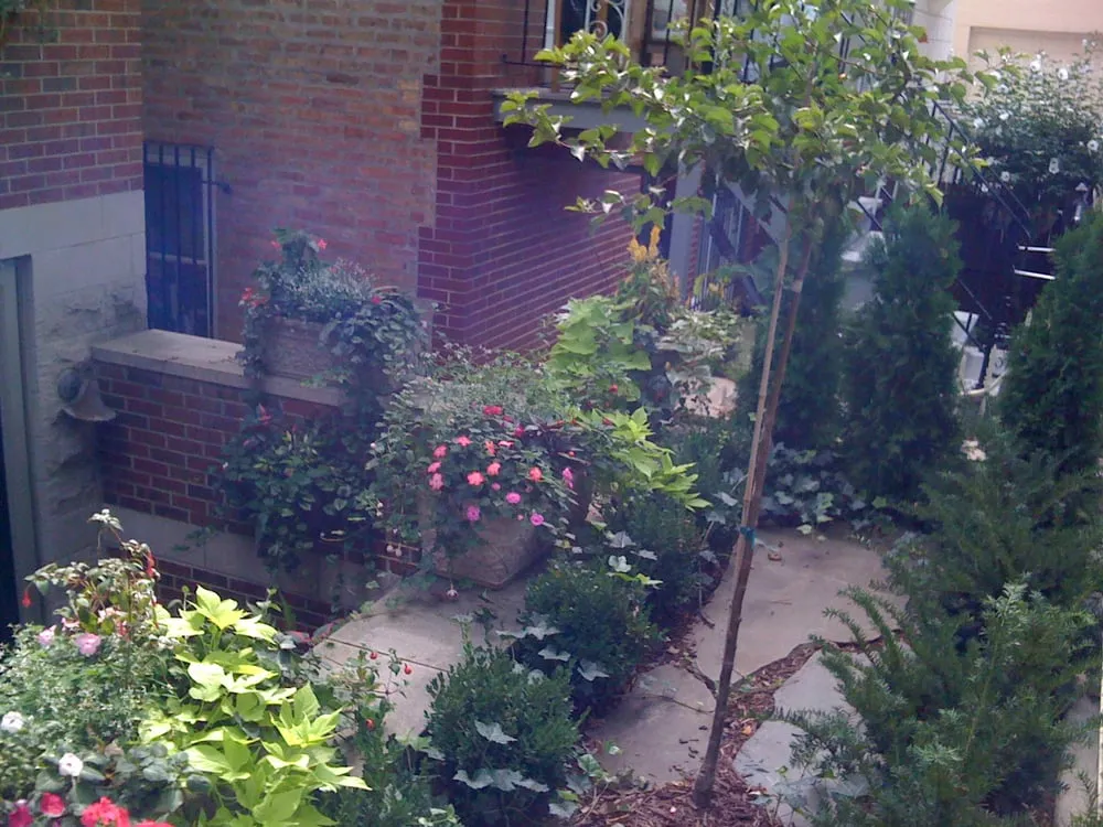 Expert lawn care service in Chicago, IL - Crain Development