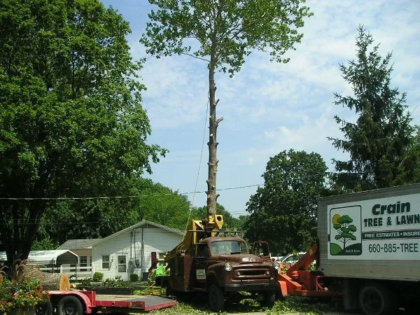 Expert landscape design in Clinton, MO - Crain Pest Control