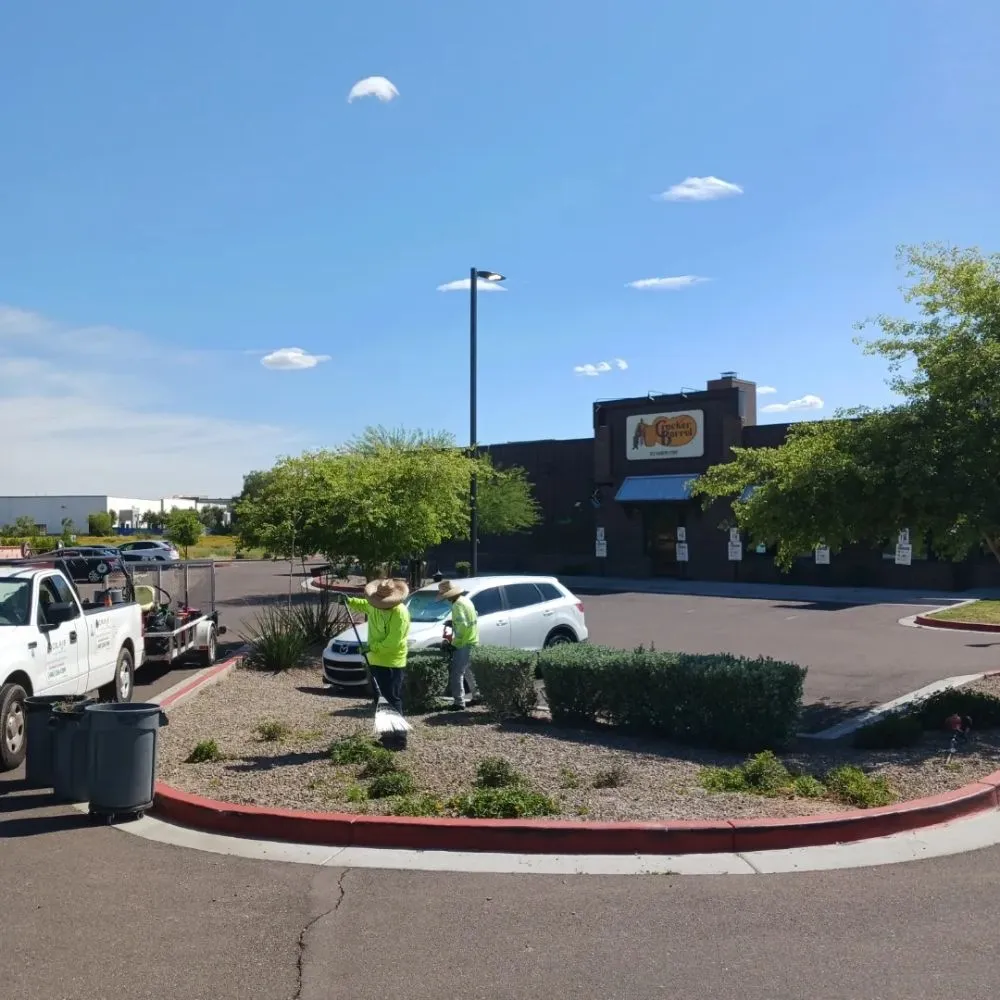 Custom garden landscaping for homes in Mesa, AZ by CRAJE Landscaping