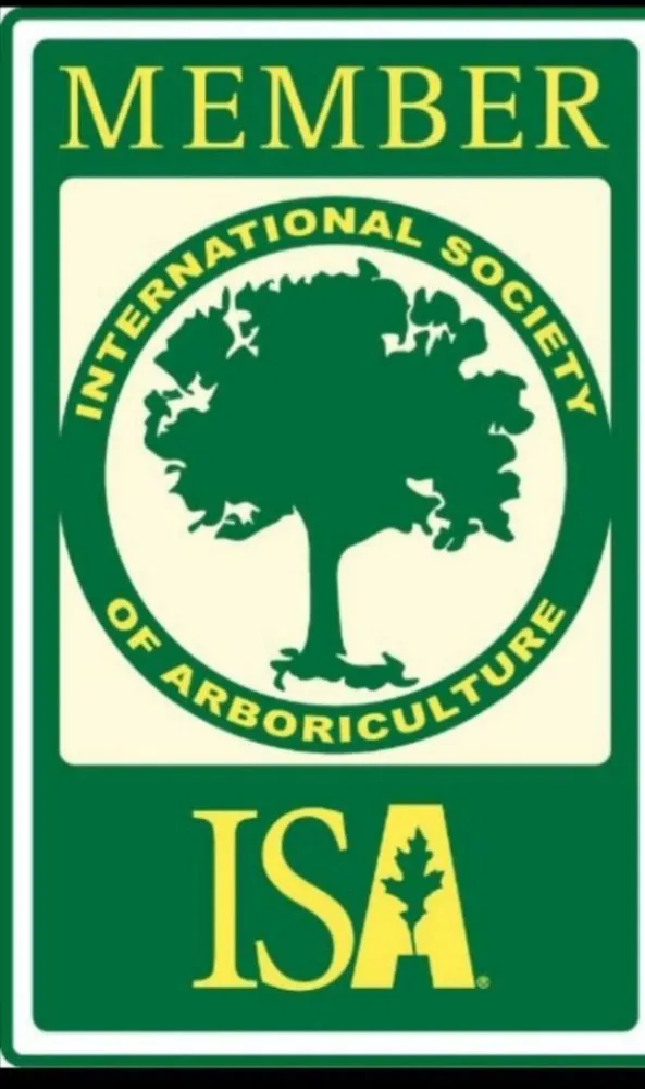 Reliable outdoor landscaping in Mesa, AZ - CRAJE Landscaping