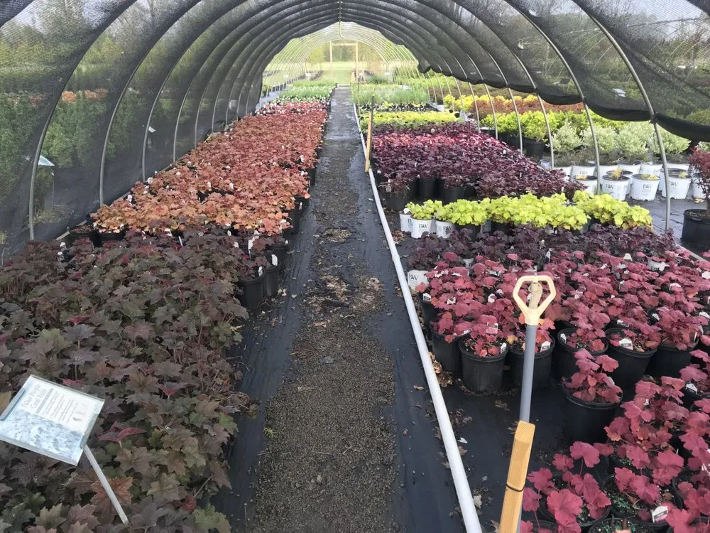 Reliable landscape design in Ottawa, OH - Cranberry Creek Nursery & Landscaping