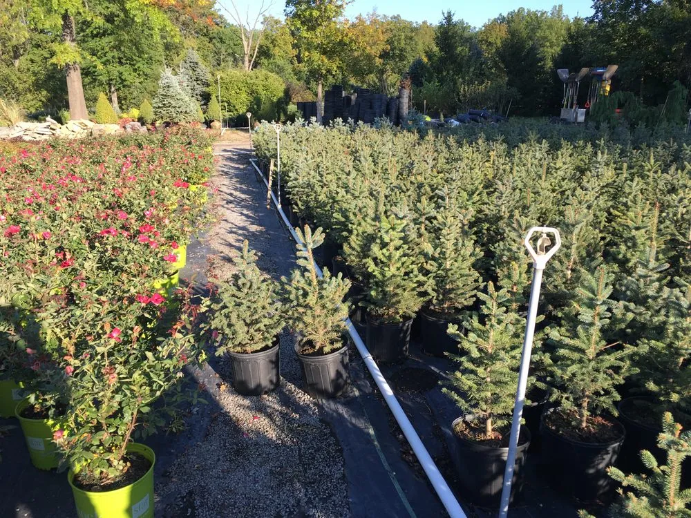 Expert lawn mowing service with custom design across Ottawa, OH - Cranberry Creek Nursery & Landscaping