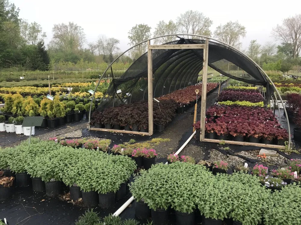 Expert lawn mowing service for outdoor upgrades in Ottawa, OH by Cranberry Creek Nursery & Landscaping