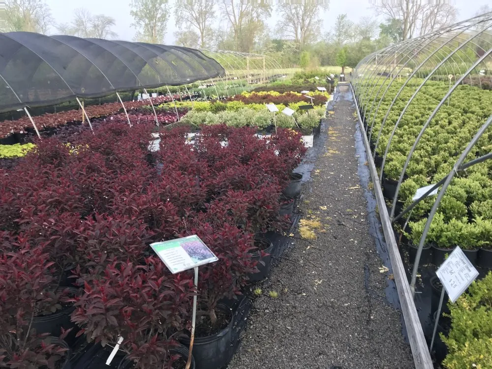 Top-rated yard maintenance in Ottawa, OH - Cranberry Creek Nursery & Landscaping