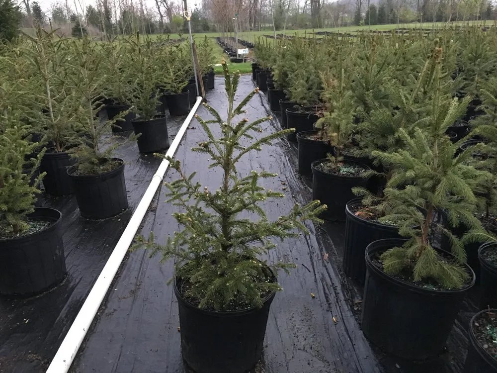 Affordable residential landscaping in Ottawa, OH by Cranberry Creek Nursery & Landscaping