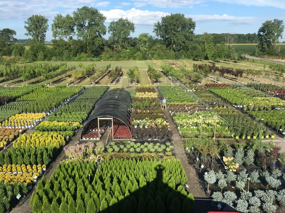 Custom landscape installation near you in Ottawa, OH by Cranberry Creek Nursery & Landscaping