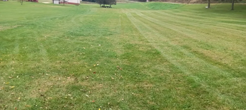 Expert outdoor landscaping for outdoor upgrades in Plain, WI by Crandall Lawn Care & Home Repair