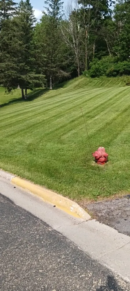 Custom yard maintenance near you across Plain, WI - Crandall Lawn Care & Home Repair