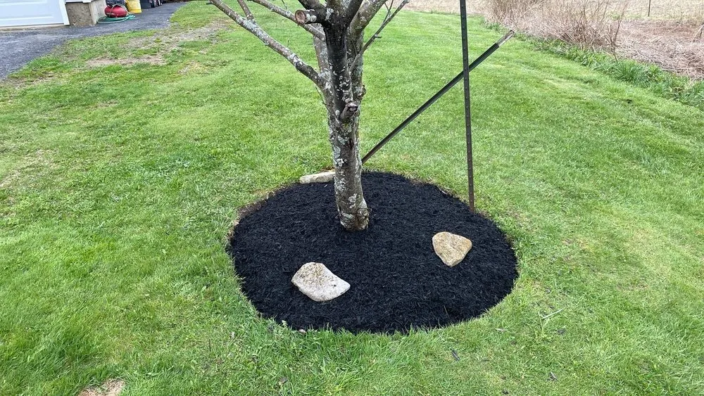 Top-rated lawn care service in Central Bridge, NY by Crandall’s Landscaping & Design