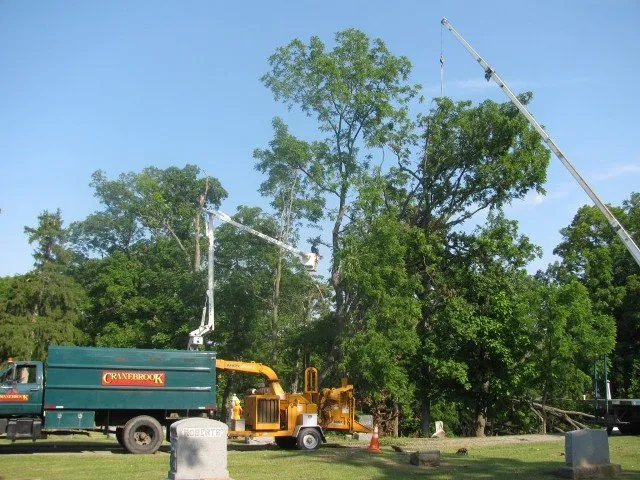 Professional landscaping services in Auburn, NY by Cranebrook Tree Service & Mulch