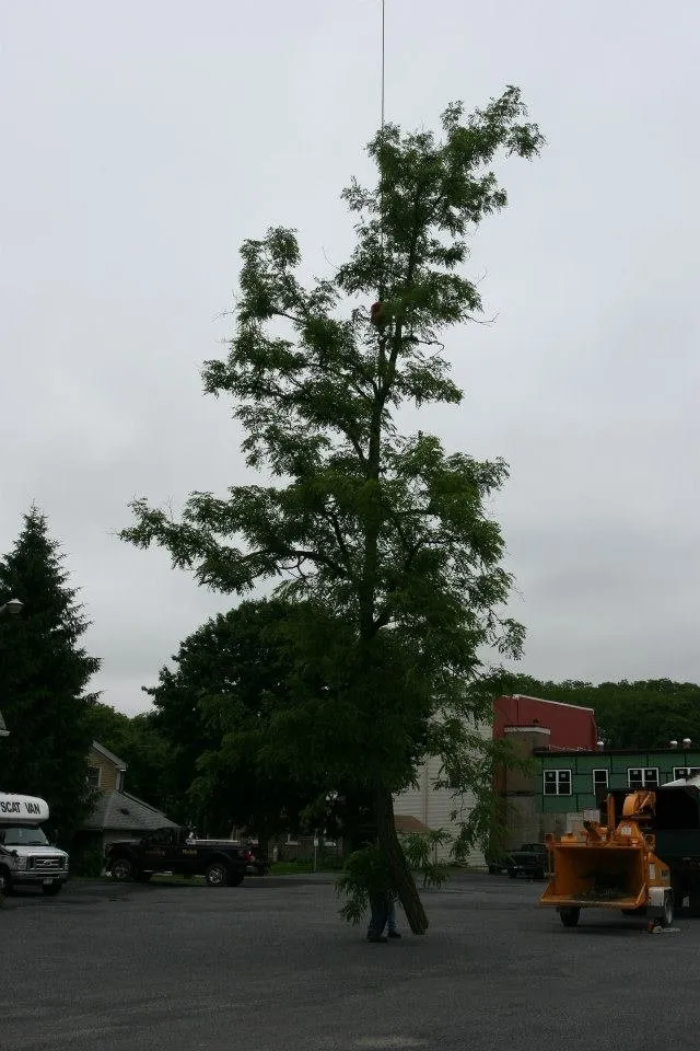 Professional landscape installation in Auburn, NY by Cranebrook Tree Service & Mulch