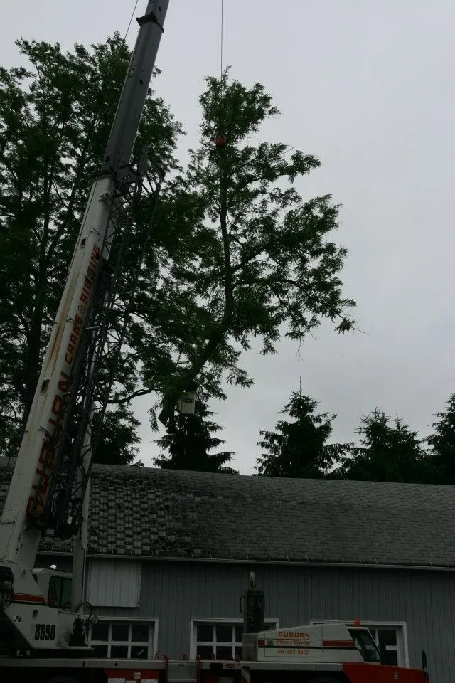 Professional lawn mowing service near you across Auburn, NY - Cranebrook Tree Service & Mulch