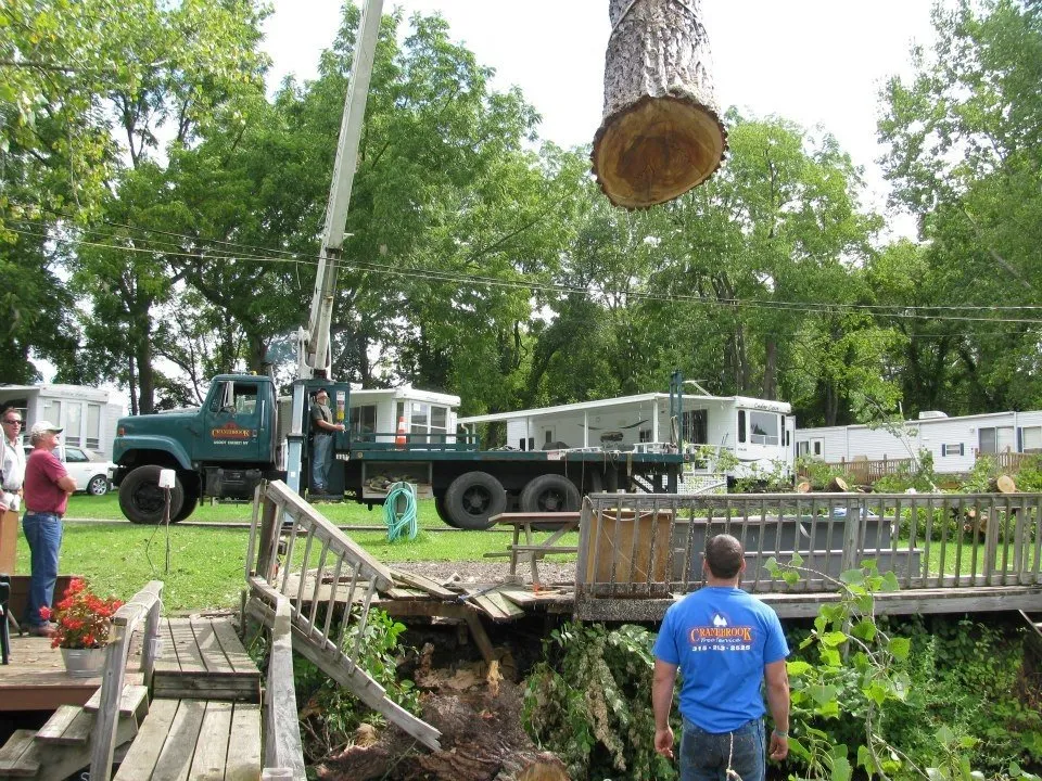 Professional lawn mowing service with custom design across Auburn, NY - Cranebrook Tree Service & Mulch