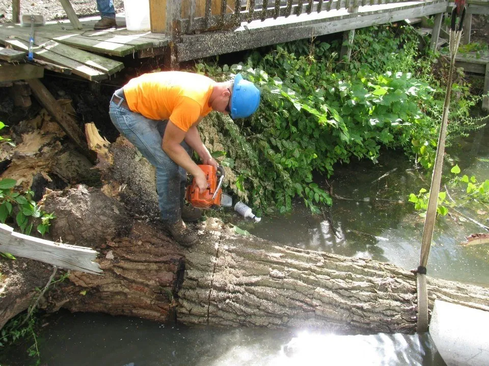 Trusted landscape installation experts serving Auburn, NY - Cranebrook Tree Service & Mulch