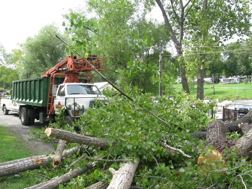 Local yard maintenance in Auburn, NY - Cranebrook Tree Service & Mulch
