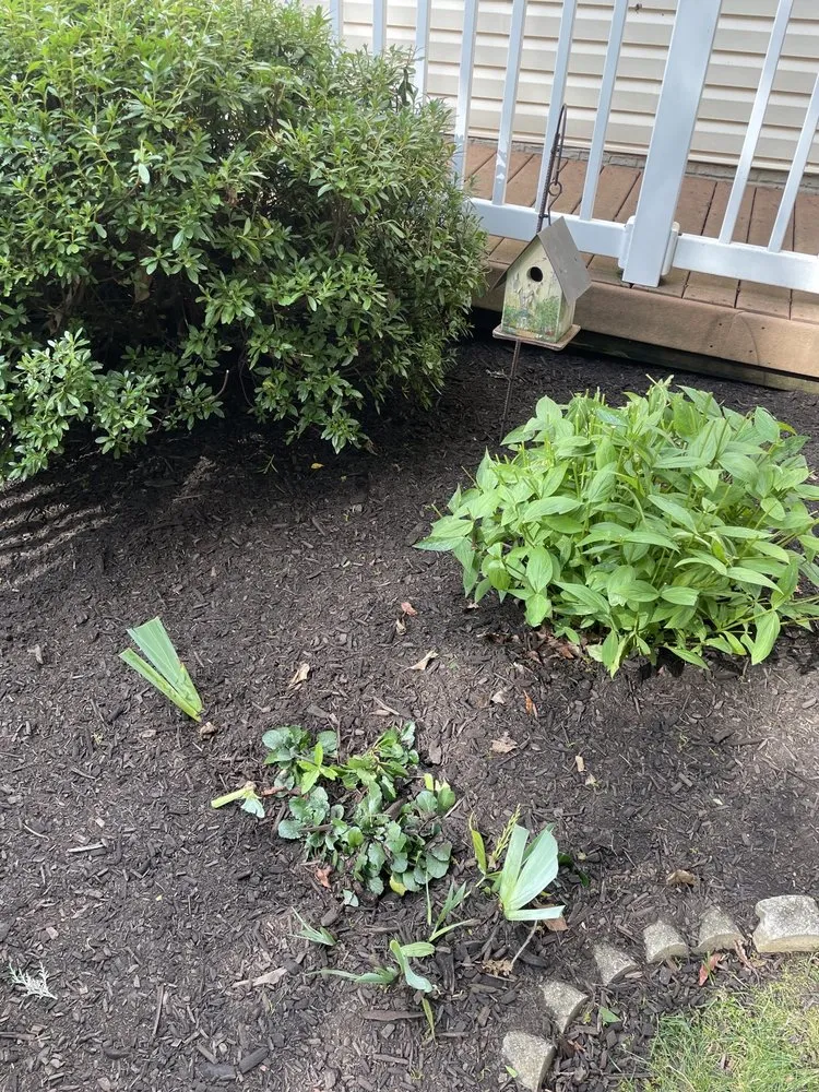 Trusted outdoor landscaping in Richmond, VA by Cranes Creek Landscaping