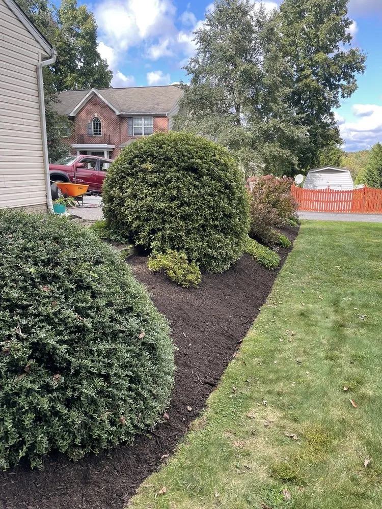 Reliable lawn care service for year-round maintenance across Richmond, VA - Cranes Creek Landscaping