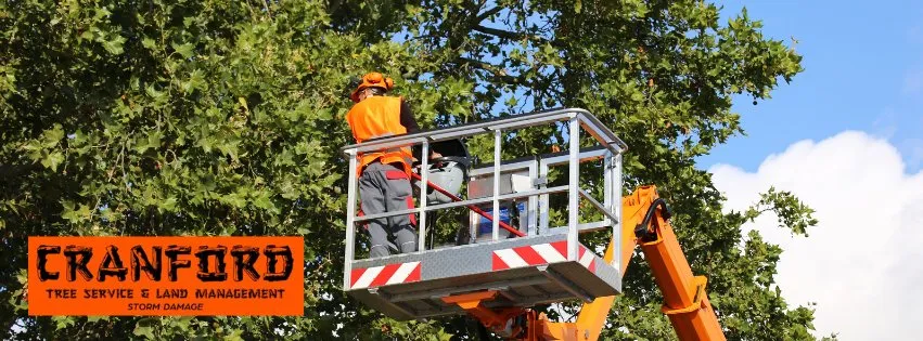 Top-rated garden landscaping in Texarkana, AR - Cranford Tree Service and Land Management