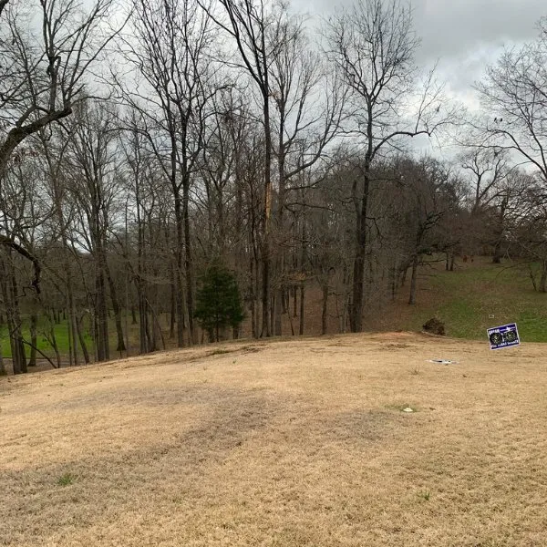 Local yard cleanup service with custom design in Texarkana, AR by Cranford Tree Service and Land Management