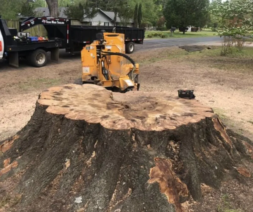 Trusted landscape installation for year-round maintenance in Texarkana, AR by Cranford Tree Service and Land Management