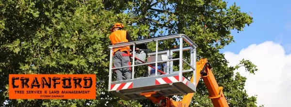 Cranford Tree Service and Land Management Logo