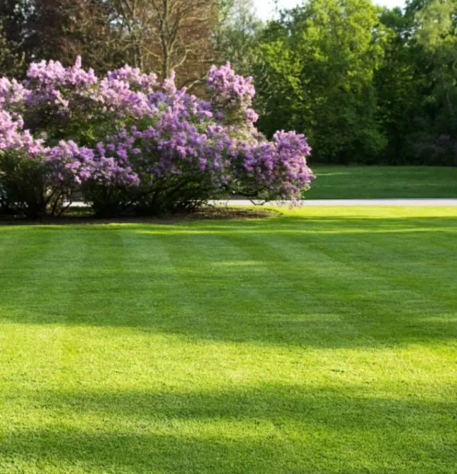 Affordable landscaping services for homes in Cantonment, FL by Cranford's Lawn Care