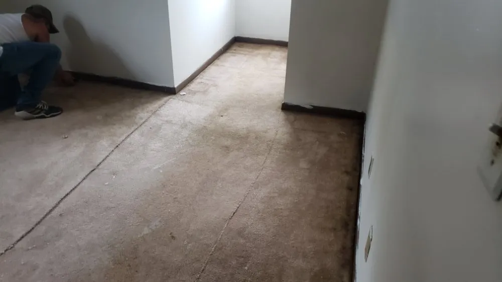 Expert landscaping services near you in Gilman, IL by Cranked Services