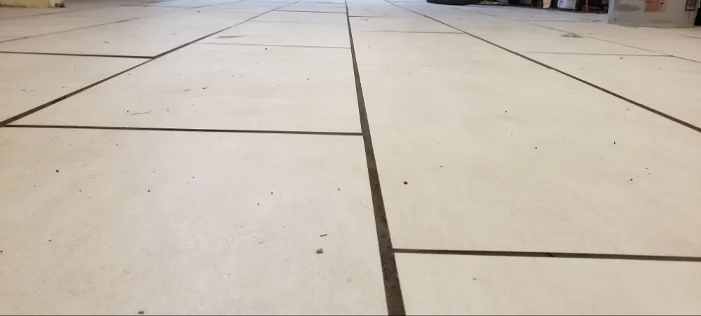 Local landscape design experts serving Gilman, IL - Cranked Services