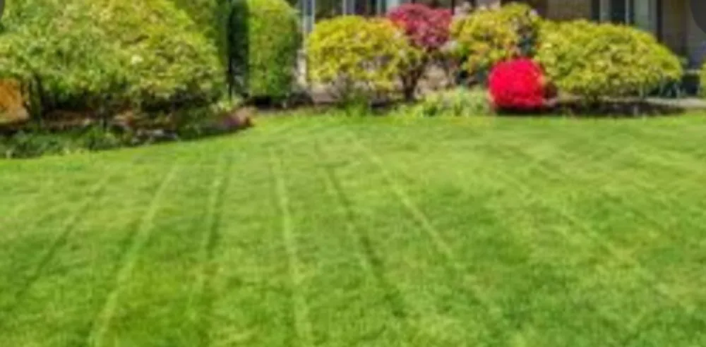 Local lawn care service for year-round maintenance across Chillicothe, MO - Cranmers Lawn Care and Mowing