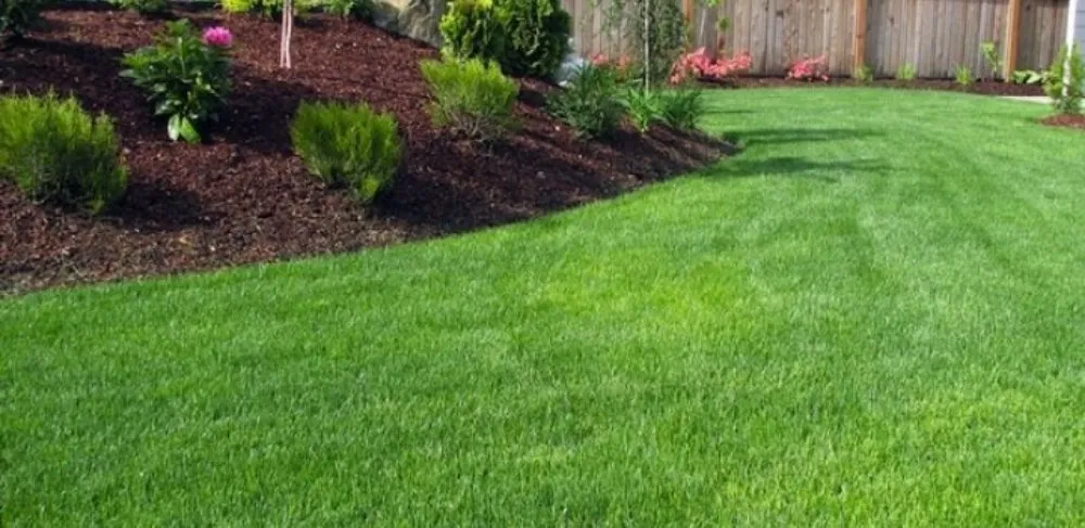Expert outdoor landscaping in Chillicothe, MO - Cranmers Lawn Care and Mowing