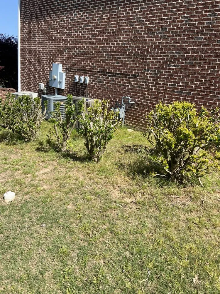 Local lawn care service in Fayetteville, GA by Crasian Decking & Landscaping