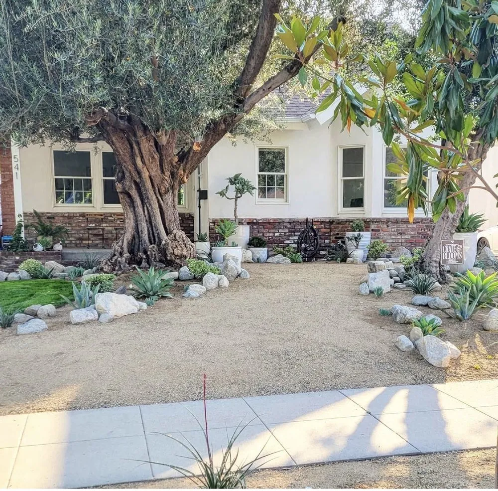 Affordable yard maintenance in Burbank, CA - Crate & Blooms