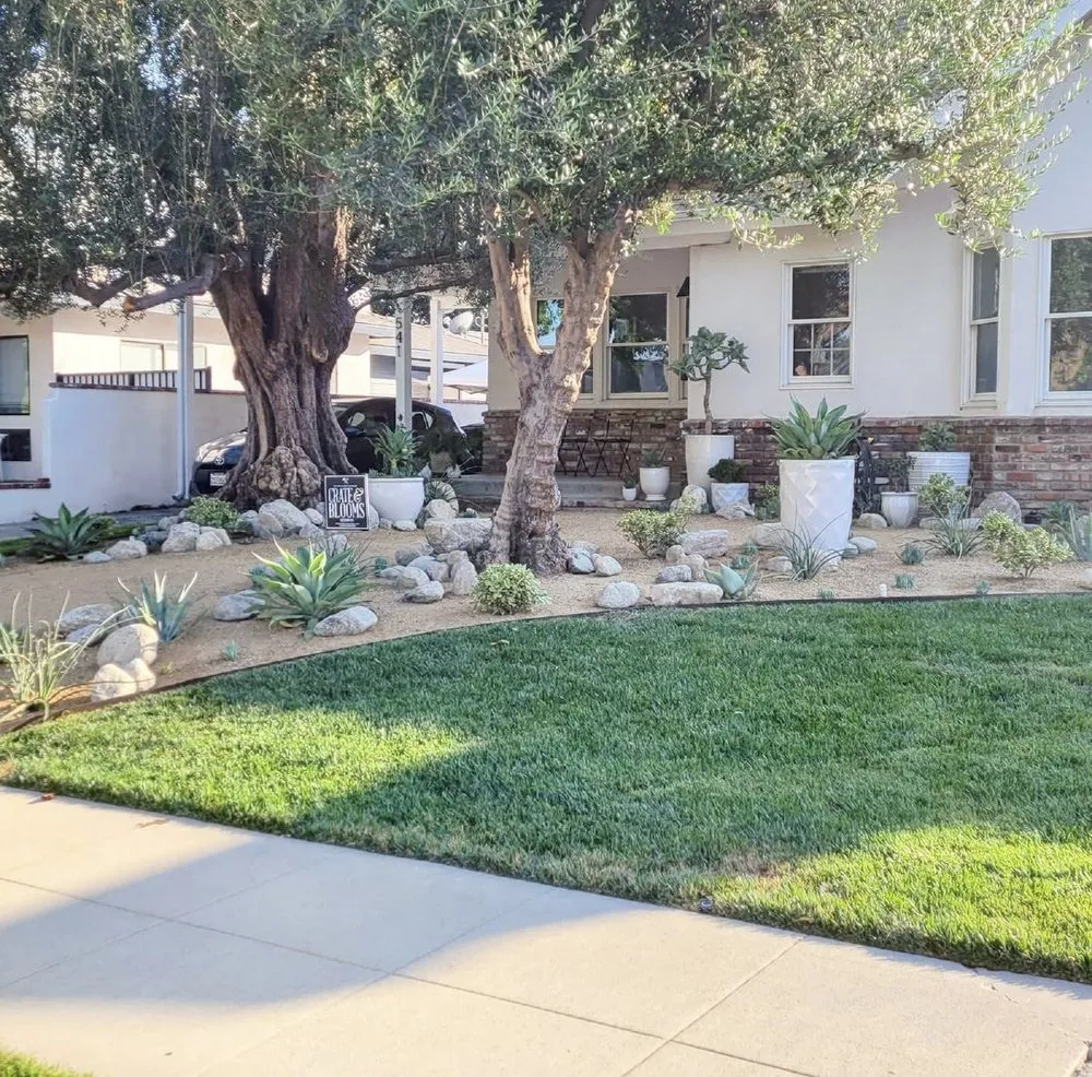 Professional landscape design for year-round maintenance in Burbank, CA by Crate & Blooms