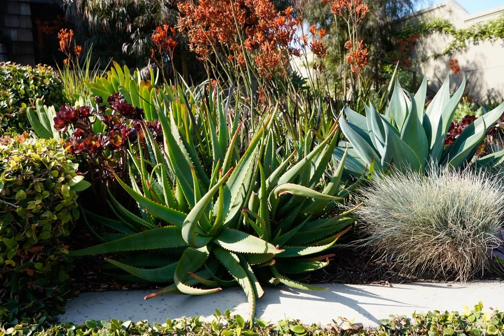 Trusted garden landscaping in Seaside, CA by Craven Landscaping