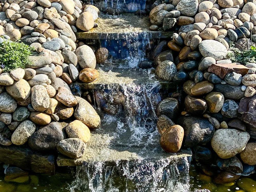 Professional yard maintenance in Seaside, CA - Craven Landscaping