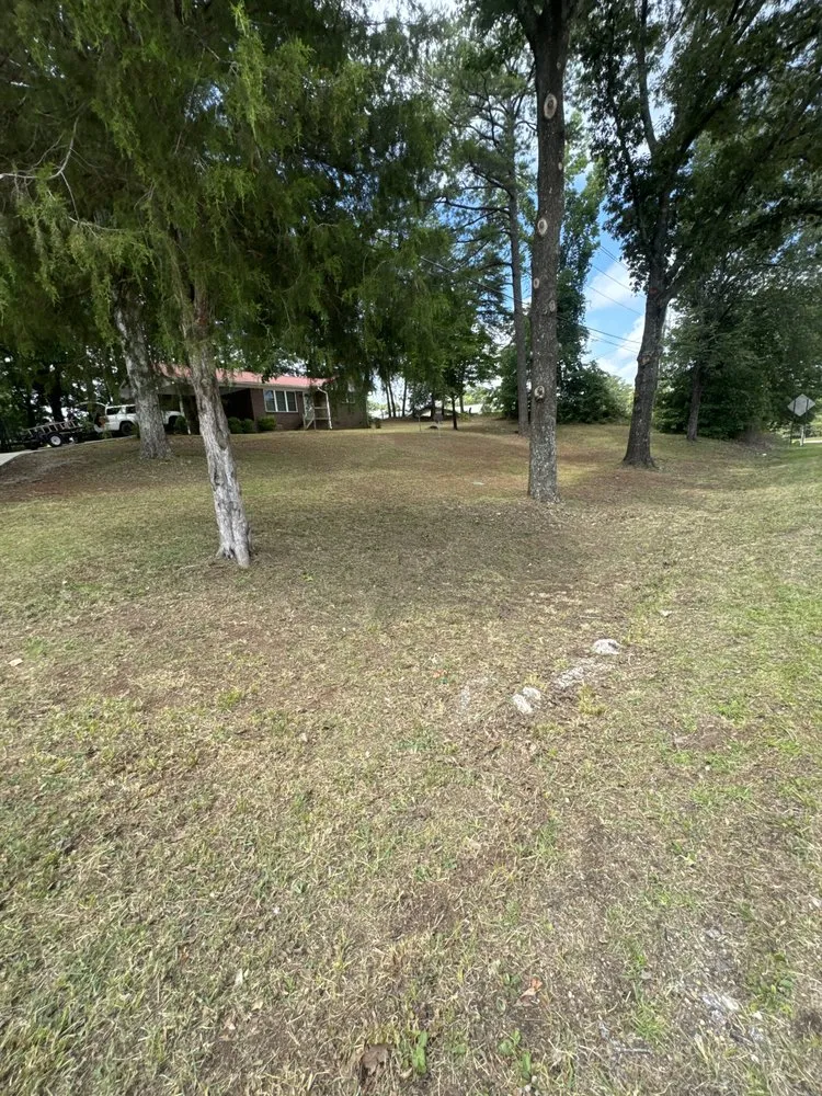 Reliable yard maintenance in West Blocton, AL - Crawford Lawn and Landscaping