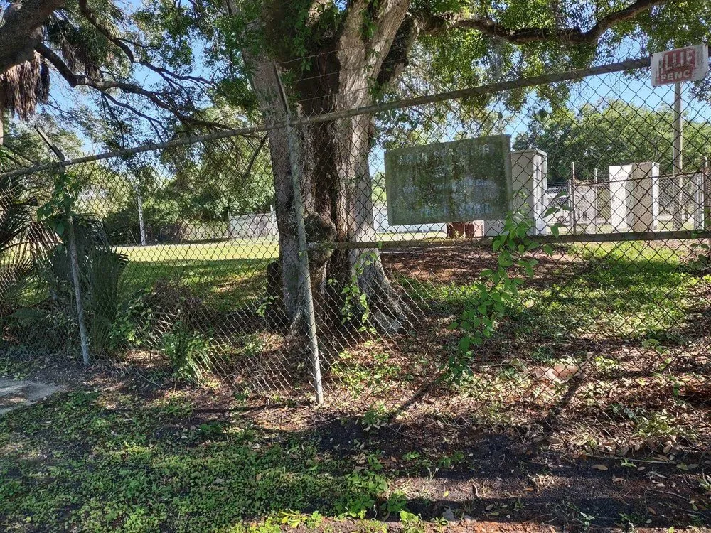 Custom yard cleanup service near you in Clair-Mel City, FL by Crawford Lawn Care