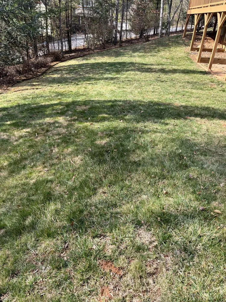 Local lawn care service experts serving Weaverville, NC - Crawford Lawn Care