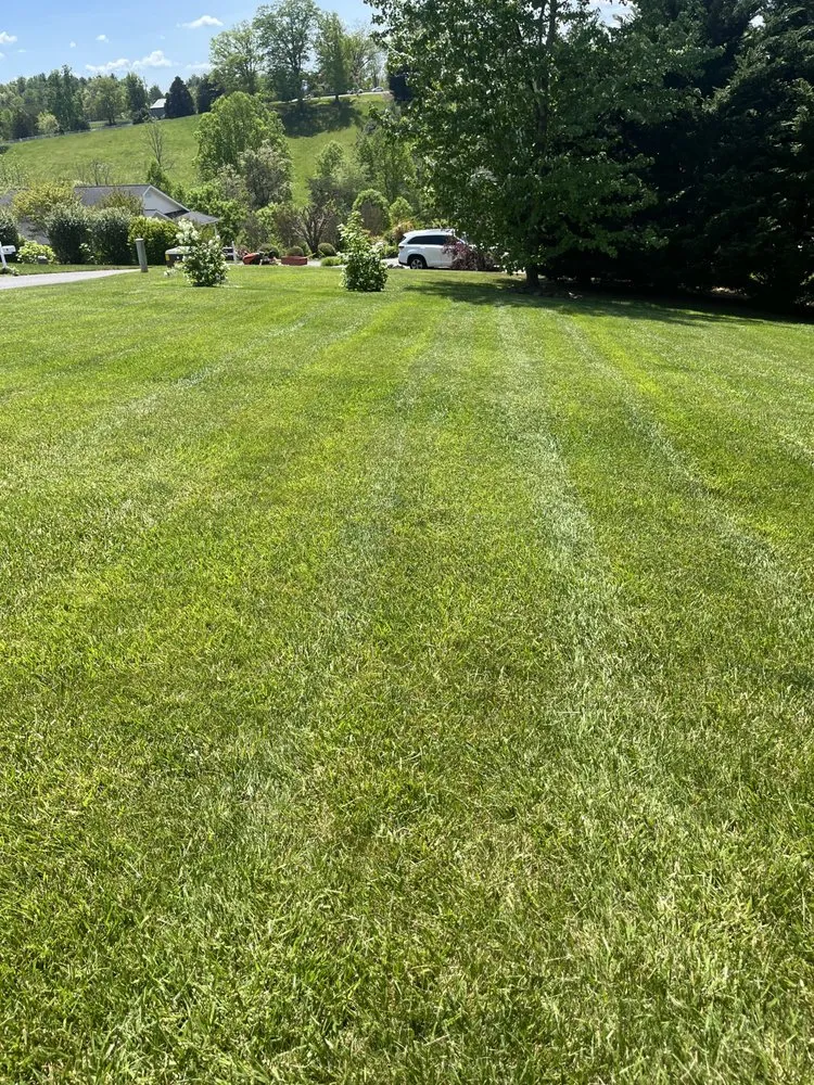 Professional outdoor landscaping in Weaverville, NC by Crawford Lawn Care