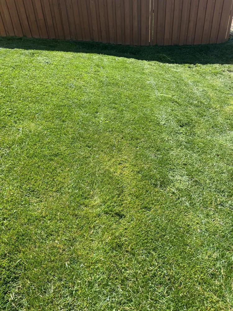 Reliable yard cleanup service in Weaverville, NC - Crawford Lawn Care