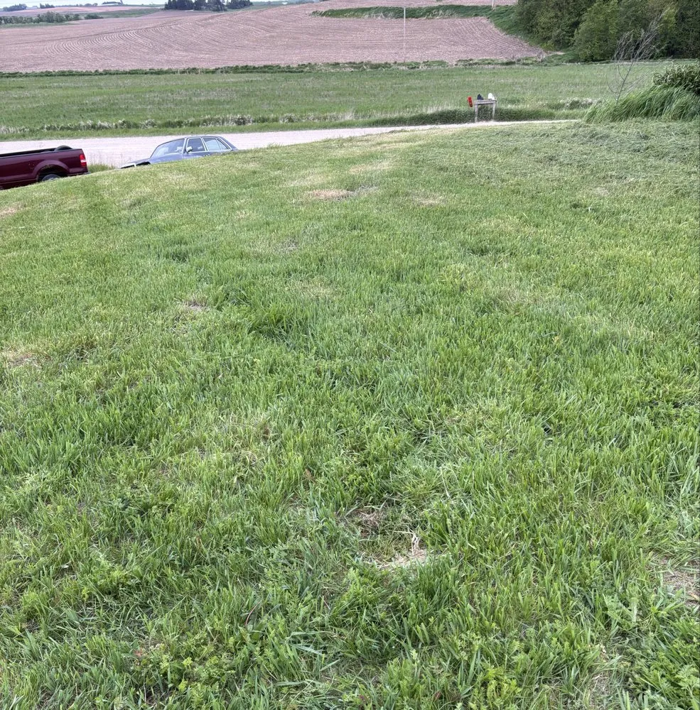 Expert lawn care service experts serving Clermont, IA - Crawford Lawn Maintenance