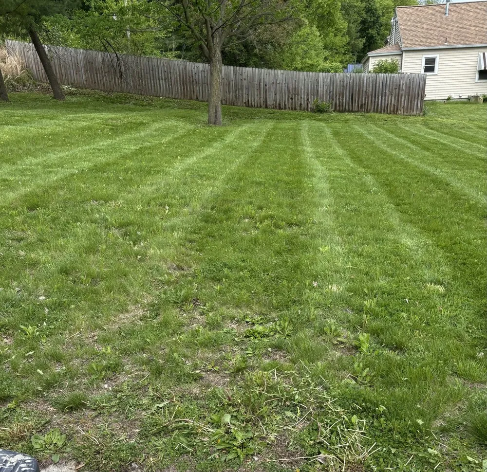 Custom residential landscaping experts serving Clermont, IA - Crawford Lawn Maintenance