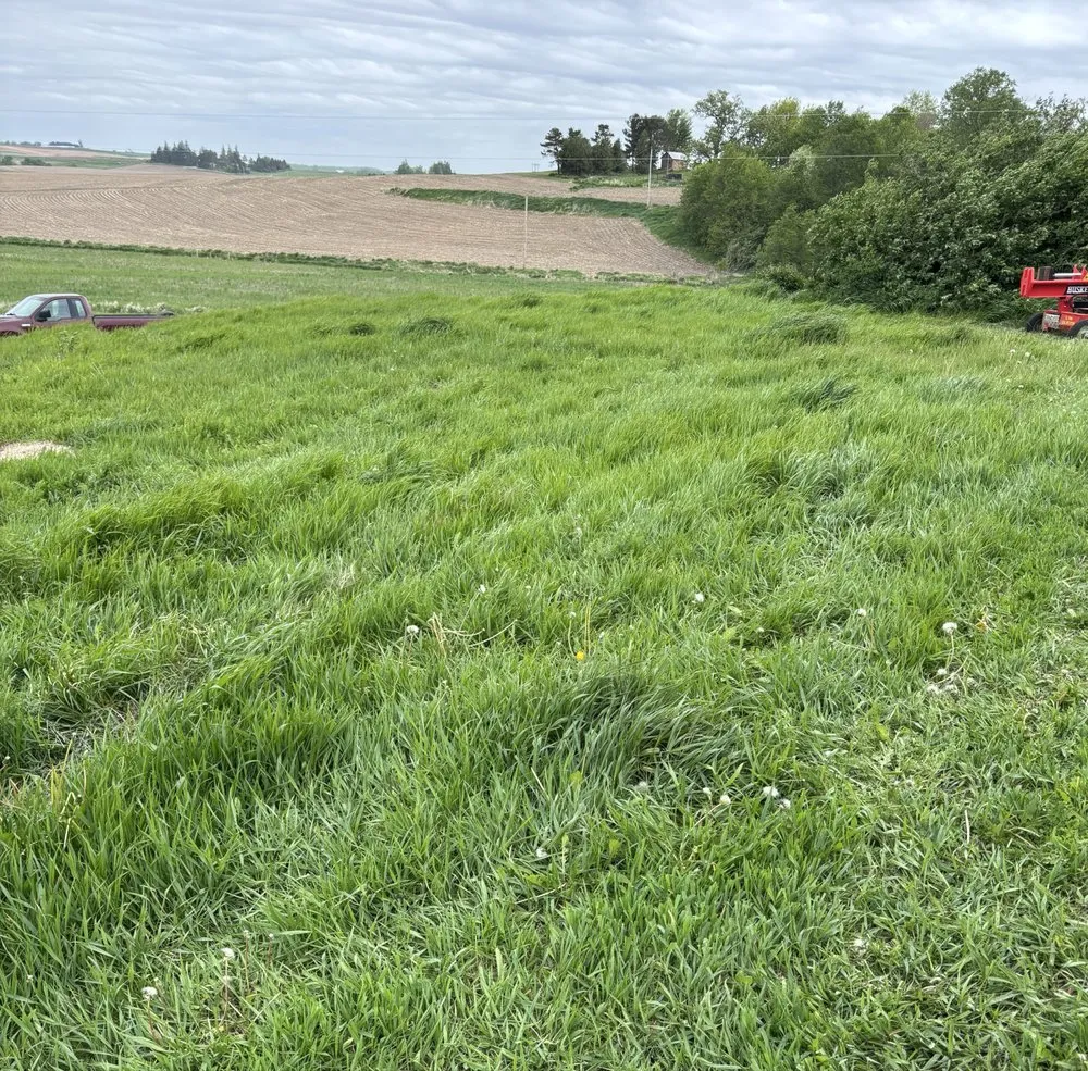 Custom landscaping services for beautiful yards across Clermont, IA - Crawford Lawn Maintenance