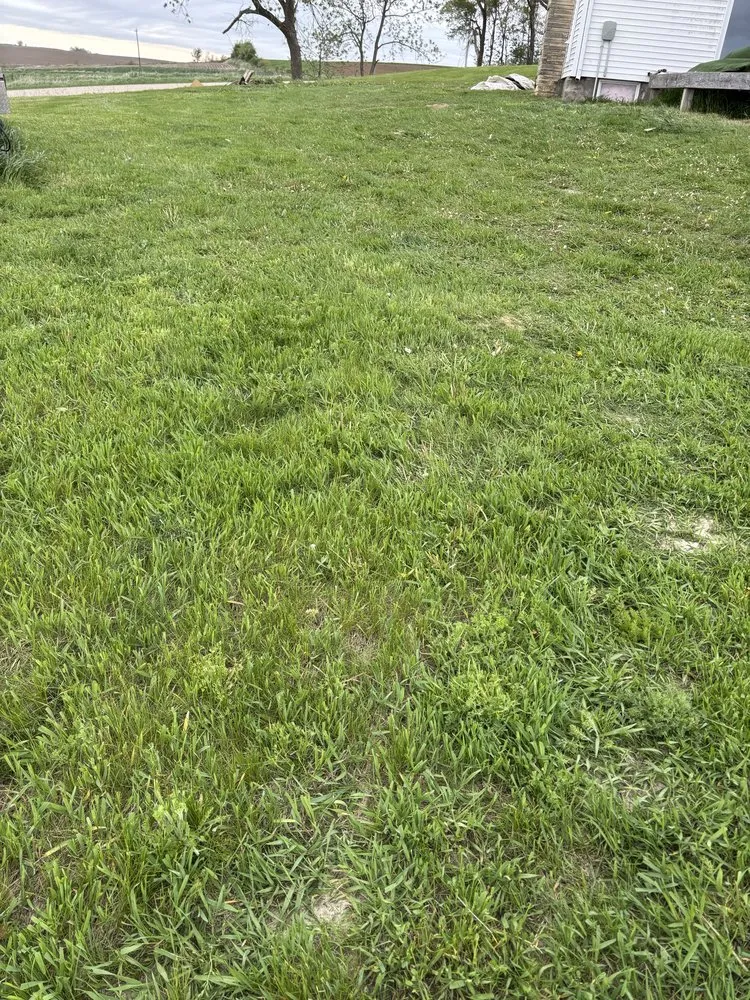 Reliable landscaping services in Clermont, IA by Crawford Lawn Maintenance