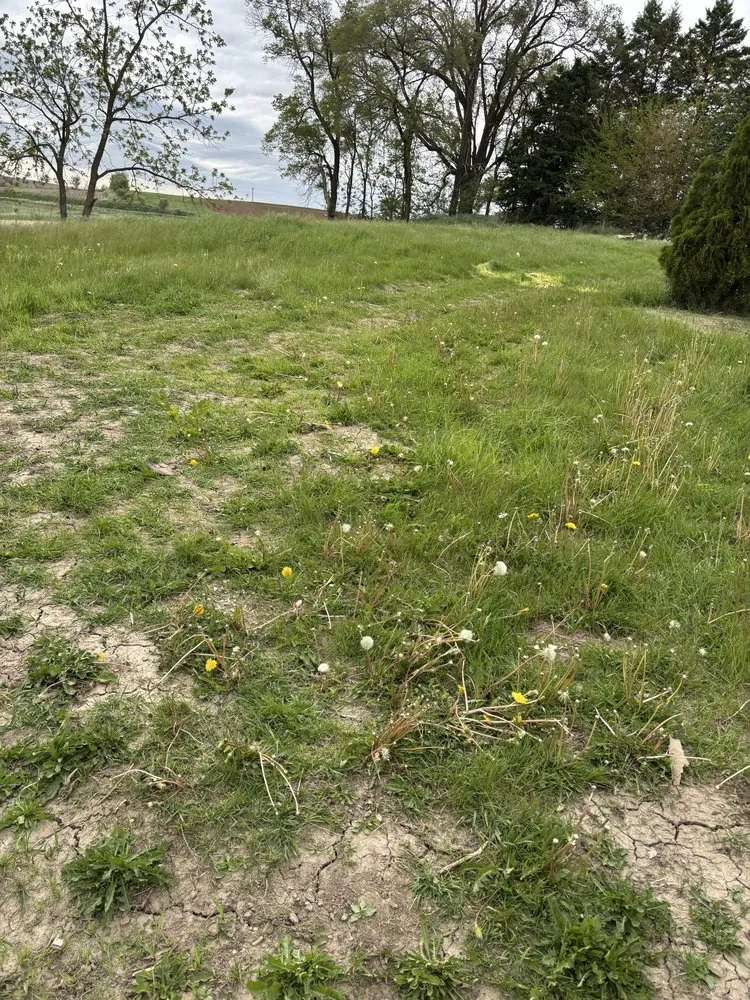 Expert yard cleanup service experts serving Clermont, IA - Crawford Lawn Maintenance