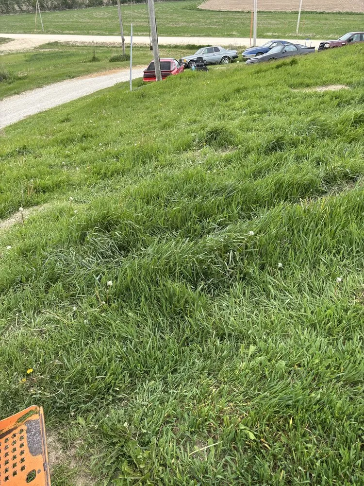 Affordable lawn care service in Clermont, IA - Crawford Lawn Maintenance