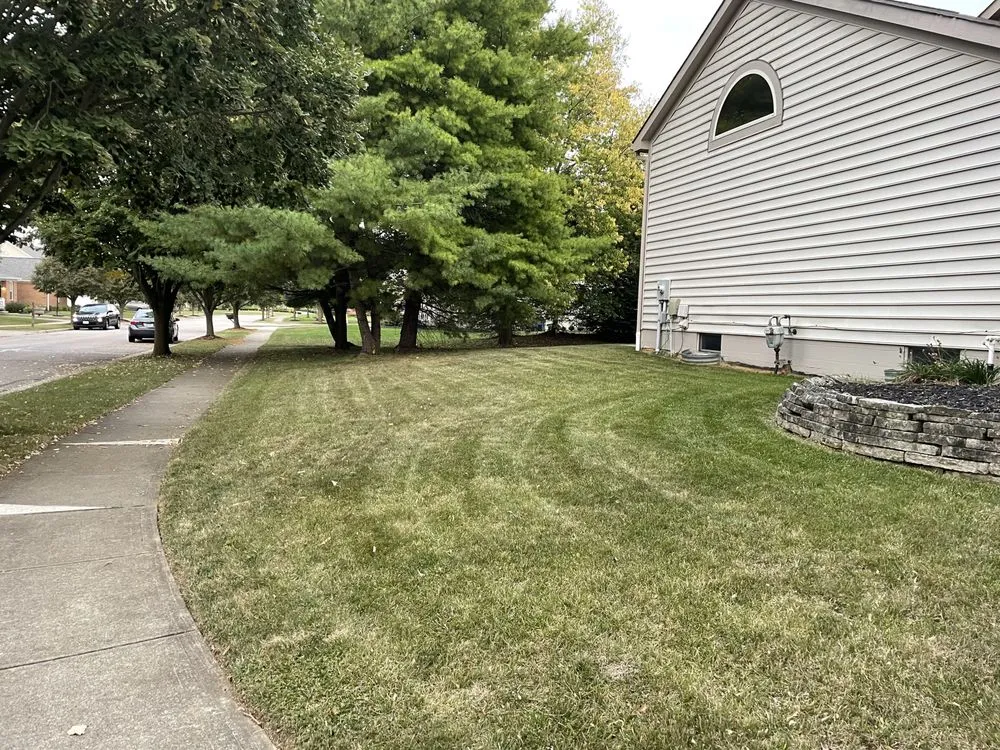 Professional yard cleanup service for residential properties across Dublin, OH - Crawford Lawn Solutions